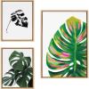 image:imageKate and Laurel Sylvie EV Monstera 582 Monstera and Monstera Leaves Framed Canvas Wall Art Set by Various Artists 3 Piece Set Natural House Plant Art for Wall