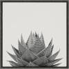 image:imageKate and Laurel Sylvie Haze Aloe Succulent Framed Canvas Wall Art by The Creative Bunch Studio 22x22 Gray Decorative Botanical Art Print for WallGray