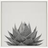 image:imageKate and Laurel Sylvie Haze Aloe Succulent Framed Canvas Wall Art by The Creative Bunch Studio 22x22 Gray Decorative Botanical Art Print for WallWhite