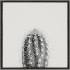 image:imageKate and Laurel Sylvie Haze Cactus Succulent Tall Framed Canvas Wall Art by The Creative Bunch Studio 22x22 White Decorative Botanical Art for WallGray