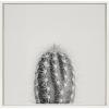image:imageKate and Laurel Sylvie Haze Cactus Succulent Tall Framed Canvas Wall Art by The Creative Bunch Studio 22x22 White Decorative Botanical Art for WallWhite