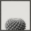 image:imageKate and Laurel Sylvie Haze Succulent Cactus Short Framed Canvas Wall Art by The Creative Bunch Studio 22x22 Gray Decorative Succulent Art for WallGray