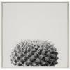 image:imageKate and Laurel Sylvie Haze Succulent Cactus Short Framed Canvas Wall Art by The Creative Bunch Studio 22x22 Gray Decorative Succulent Art for WallWhite