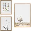 image:imageKate and Laurel Sylvie Lone Joshua Tree Group of Cacti and Film Grain Cactus 1 Framed Canvas Wall Art Set by Various Artists 3 Piece Set Natural Desert Cactus Art for Wall