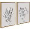 image:imageKate and Laurel Sylvie Neutral Botanical 1 and 2 Soft White Framed Canvas Wall Art by The Creative Bunch Studio 2 Piece 18x24 Natural Farmhouse Botanical Wall DcorNatural