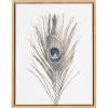 image:imageKate and Laurel Sylvie Peacock Feather Natural Framed Canvas Wall Art by Simon Te Tai 18x24 Natural