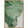 image:imageKate and Laurel Sylvie Plant Study 6 Framed Canvas Wall Art by Alicia Abla 23x33 Natural Decorative Nature Themed Art for WallNatural