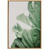 image:imageKate and Laurel Sylvie Plant Study 7 Framed Canvas Wall Art by Alicia Abla 23x33 Natural Decorative Natural Plant Art for WallNatural