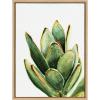 image:imageKate and Laurel Sylvie Succulent 18 Framed Canvas by Jennifer Redstreake Geary 18x24 Natural Botanical Art Decor for Living Room Bedroom EntrywayNatural