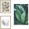 image:imageKate and Laurel Sylvie Tropical Wanderlust Botanical Wall Art Collection by Cat Coquillette Teju Reval and F2Images 3 Piece 16x20 and 23x33 Natural Succulent Art for Wall