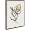 image:imageKate and Laurel Sylvie Wild Banksia Framed Canvas Wall Art by Sara Berrenson 18x24 Natural Nature Art for WallGray