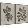 image:imageKate and Laurel Winter Holly and Berries  2 Piece Framed Canvas Wall Art Set by Nikita Jariwala Sylvie Greywash Vintage Holiday Art for Wall Decor