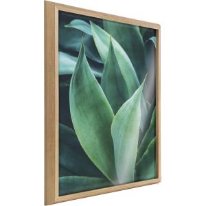 image:imageKate and Laurel Blake Agave II Framed Printed Acrylic Wall Art by Emiko and Mark Franzen of F2Images 24x32 Natural Moody Modern Botanical Wall Dcor