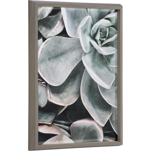 image:imageKate and Laurel Blake Botanical Succulent Plants 2 Framed Printed Glass Wall Art by The Creative Bunch Studio 18x24 Gray Succulent Art for Wall