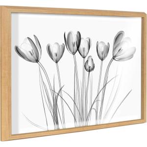 image:imageKate and Laurel Blake Crocus X Ray Floral BW Framed Printed Glass Wall Art by The Creative Bunch Studio 18x24 Natural Decorative Modern Flower Art Print for Wall