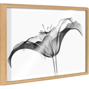 image:imageKate and Laurel Blake Lily X Ray Floral BW Framed Printed Glass Wall Art by The Creative Bunch Studio 18x24 Natural Decorative Modern Flower Art Print for Wall