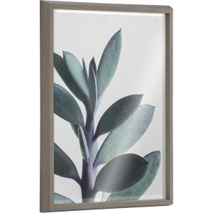 image:imageKate and Laurel Blake Senecio 1 Framed Printed Glass Wall Art by Emiko and Mark Franzen of F2Images 18x24 Gray Decorative Botanical Art for Wall