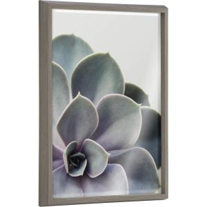 image:imageKate and Laurel Blake Succulent 5 Framed Printed Glass Wall Art by Emiko and Mark Franzen of F2Images 18x24 Gray Decorative Plant Art for Wall