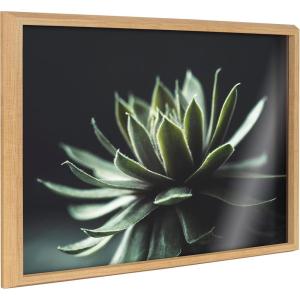 image:imageKate and Laurel Blake Warrior Succulent Framed Printed Glass Natural Plant Wall Art by Emiko and Mark Franzen of F2Images 18x24 Natural Moody Botanical Glass Art