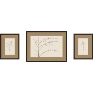 image:imageKate and Laurel Botanical Sketch Neutrals 3 Piece Framed Wall Art Print Set by Stephanie Klatt Carlisle Espresso Narrow Modern Contemporary Flower Art for Wall Decor