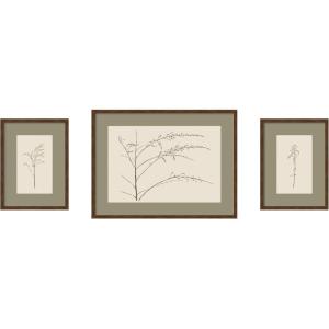 image:imageKate and Laurel Botanical Sketch Olive 3 Piece Framed Wall Art Print Set by Stephanie Klatt Carlisle Brown Narrow Modern Contemporary Flower Art for Wall Decor