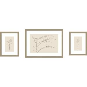 image:imageKate and Laurel Botanical Sketch Warm 3 Piece Framed Wall Art Print Set by Stephanie Klatt Belmont Distress Silver Modern Contemporary Flower Art for Wall Decor