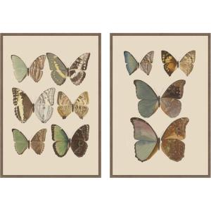 image:imageKate and Laurel Exotische schmetterlinge Otto Staudinger 2 Piece Framed Canvas Wall Art Set by Nostalgia Prints Sylvie Walnut Vintage Animal Art for Wall Decor
