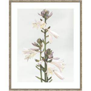 image:imageKate and Laurel Framed Wall Art Print Hosta by Alicia Abla 22 x 26 Mila Dark Silver Frame Modern Contemporary Flower Art for Wall Decor42L x 34W