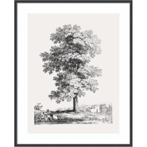 image:imageKate and Laurel Framed Wall Art Print Jean Victor Bertin Study of a Tree 1816 by The Art Institute of Chicago 21 x 25 Stylish Black Narrow Frame Vintage Landscape Art for Wall Decor41L x 33W
