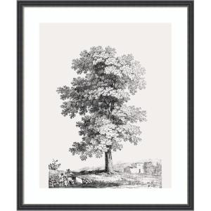 image:imageKate and Laurel Framed Wall Art Print Jean Victor Bertin Study of a Tree 1816 by The Art Institute of Chicago 21 x 25 Stylish Black Narrow Frame Vintage Landscape Art for Wall Decor25L x 21W