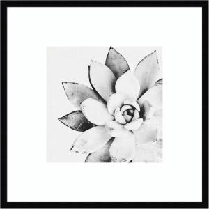 image:imageKate and Laurel Framed Wall Art Print Modern Succulent by Tai Prints 25 x 25 Svelte Noir Black Frame Modern Contemporary Flower Art for Wall DecorSvelte Noir Black