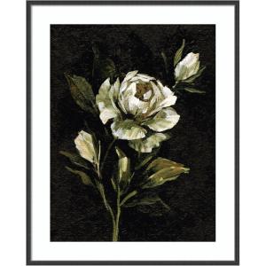 image:imageKate and Laurel Framed Wall Art Print Moody Floral 2 by Annie Quigley 21 x 25 Stylish Black Narrow Frame Modern Contemporary Flowers Nature Art for Wall Decor41L x 33W