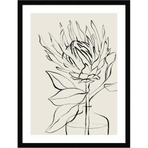 image:imageKate and Laurel Framed Wall Art Print SB Protea Sketch No 1 by Sara Berrenson 19 x 25 Svelte Noir Black Frame Modern Contemporary Flower Art for Wall DecorSvelte Noir Black