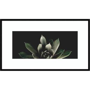 image:imageKate and Laurel Framed Wall Art Print Salutation by Emiko and Mark Franzen F2 Images 41 x 24 Svelte Noir Black Frame Modern Contemporary Flower Art for Wall Decor