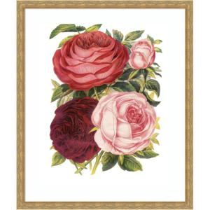 image:imageKate and Laurel Framed Wall Art Print Victorian Flowers by The Creative Bunch Studio 22 x 26 Mila Dark Gold Frame Vintage Flower Art for Wall Decor26L x 22W