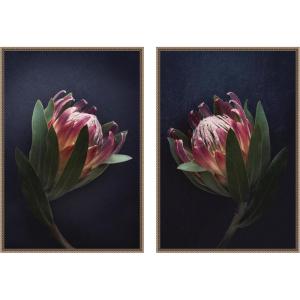 image:imageKate and Laurel Moody ProteaNo 1 amp No 2 2 Piece Framed Canvas Wall Art Set by Emiko and Mark Franzen F2 Images Sylvie Beaded Dark Gold Modern Contemporary Flower Art for Wall Decor