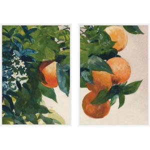 image:imageKate and Laurel Oranges on a Branch 2 Piece Framed Canvas Wall Art Set by Nostalgia Prints Sylvie White Modern Contemporary Nature Art for Wall Decor