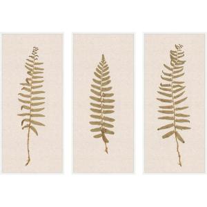 image:imageKate and Laurel Plant Studies 3 3 Piece Framed Canvas Wall Art Set by The Smithsonian American Art Museum Sylvie White Modern Contemporary Nature Art for Wall Decor