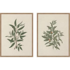 image:imageKate and Laurel Salix subserrata Willd Willow amp Osyris Lanceolate African Sandalwood 2 Piece Framed Canvas Wall Art Set by Nostalgia Prints Sylvie Beaded Rustic Natural Vintage Nature Art for Wall