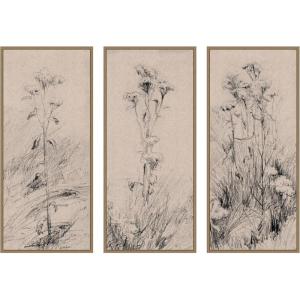 image:imageKate and Laurel Study of Thistles and Grass Walter Clark 3 Piece Framed Canvas Wall Art Set by The Smithsonian American Art Museum Sylvie Dark Gold Vintage Flower Art for Wall Decor