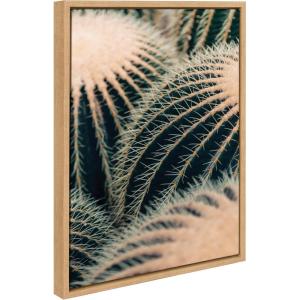 image:imageKate and Laurel Sylvie Barrel Cactus Framed Canvas Wall Art by Alicia Bock 18x24 Natural Desert Cactus Photography Art for Wall