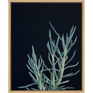 image:imageKate and Laurel Sylvie Botanical Succulent 16 Framed Canvas Wall Art by F2 Images 18x24 Natural