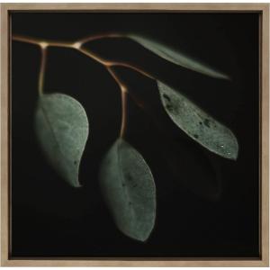 image:imageKate and Laurel Sylvie Eucalyptus Leaves Framed Canvas Wall Art by Alicia Abla 22x22 Gold Botanical Nature Art Wall Dcor