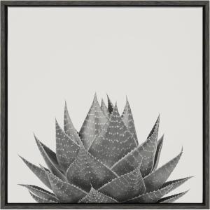 image:imageKate and Laurel Sylvie Haze Aloe Succulent Framed Canvas Wall Art by The Creative Bunch Studio 22x22 Gray Decorative Botanical Art Print for WallGray