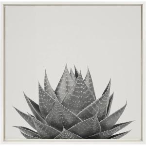 image:imageKate and Laurel Sylvie Haze Aloe Succulent Framed Canvas Wall Art by The Creative Bunch Studio 22x22 Gray Decorative Botanical Art Print for WallWhite