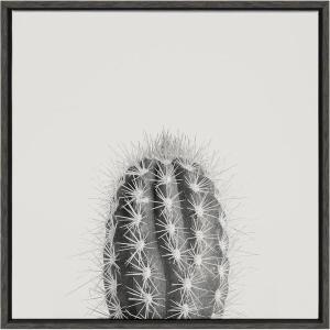 image:imageKate and Laurel Sylvie Haze Cactus Succulent Tall Framed Canvas Wall Art by The Creative Bunch Studio 22x22 White Decorative Botanical Art for WallGray