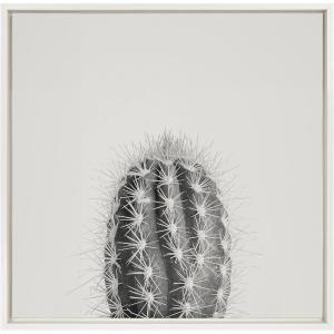image:imageKate and Laurel Sylvie Haze Cactus Succulent Tall Framed Canvas Wall Art by The Creative Bunch Studio 22x22 White Decorative Botanical Art for WallWhite