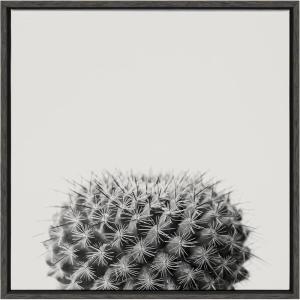 image:imageKate and Laurel Sylvie Haze Succulent Cactus Short Framed Canvas Wall Art by The Creative Bunch Studio 22x22 Gray Decorative Succulent Art for WallGray