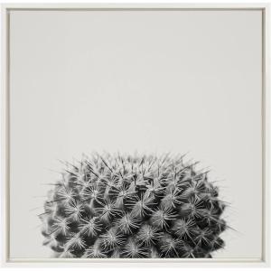 image:imageKate and Laurel Sylvie Haze Succulent Cactus Short Framed Canvas Wall Art by The Creative Bunch Studio 22x22 Gray Decorative Succulent Art for WallWhite
