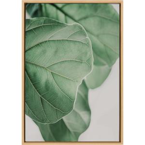 image:imageKate and Laurel Sylvie Plant Study 6 Framed Canvas Wall Art by Alicia Abla 23x33 Natural Decorative Nature Themed Art for WallNatural